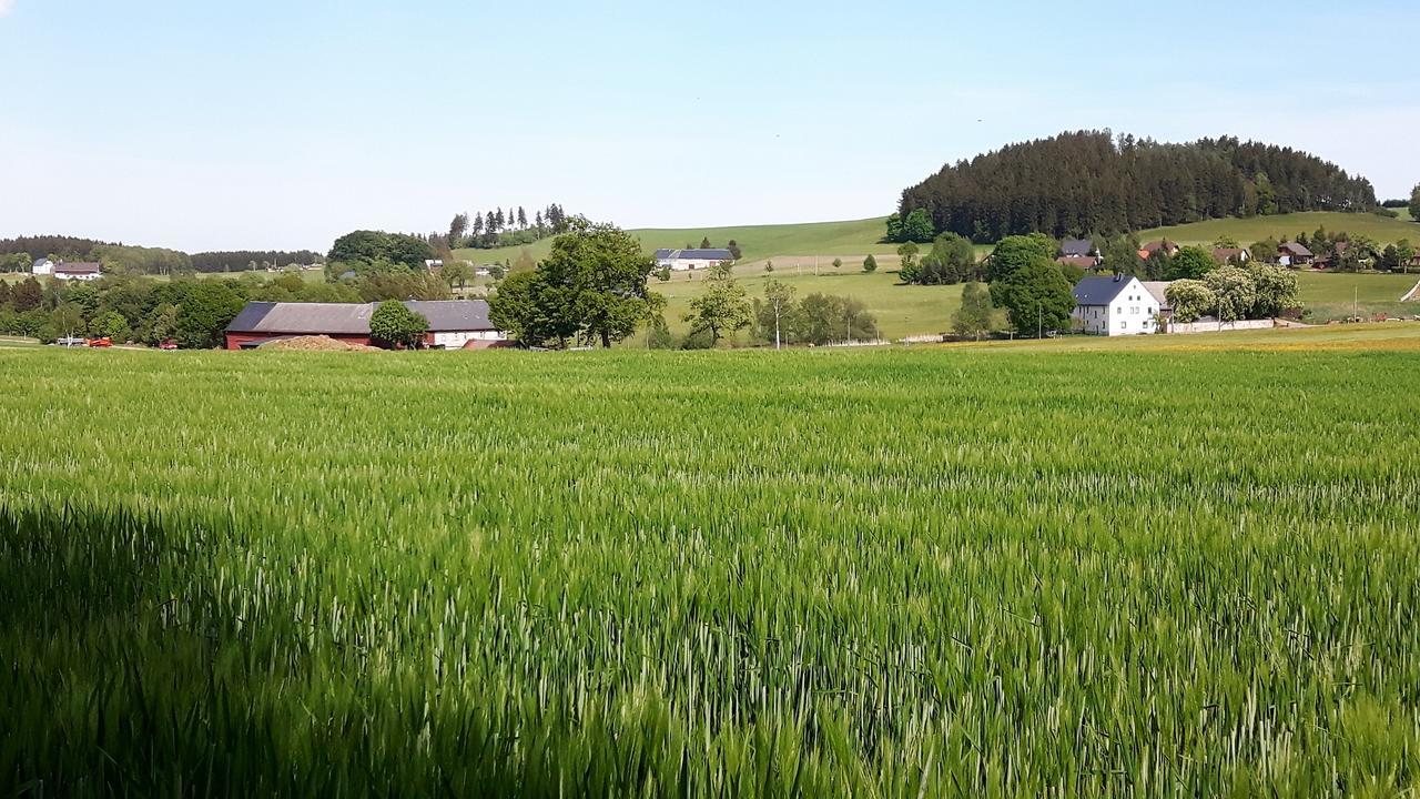 Landhotel "Lichte Aue" Lichtenau Stutzengrun 外观 照片
